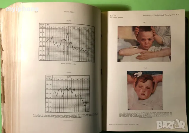 Стара Книга Патология и Лечение на Инфекциозни Болести 2 част 1919 г./1271 страници, снимка 8 - Специализирана литература - 49160295