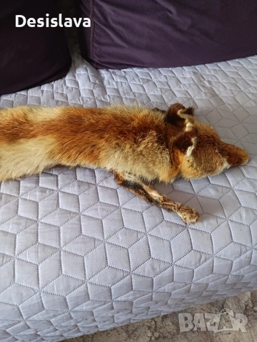 Яка от лисица, снимка 2 - Якета - 53568239