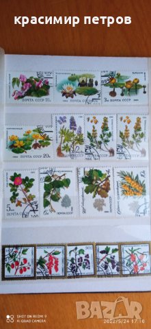 Пощенски марки колекция, снимка 5 - Филателия - 37430902