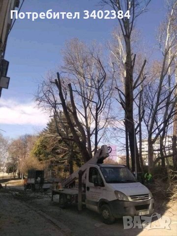 Рязане на високи и опасни дървета и почистване на дворове от треви и храсти., снимка 3 - Градинска техника - 36933277