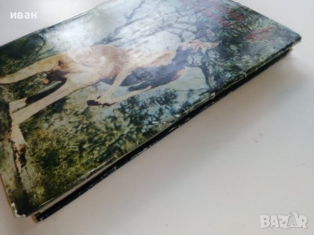 Четириноги Австралийци - Бернхард Гжимек - 1969г. , снимка 10 - Други - 40225924