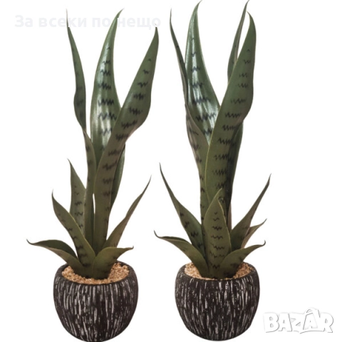 Декоративно растение – сансивиера в кашпа, 48 см Код P1318