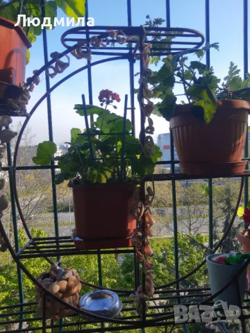 Цветарник,ковано желязо на няколко нива,грундиран и боядисан , снимка 10 - Градински мебели, декорация  - 50096264