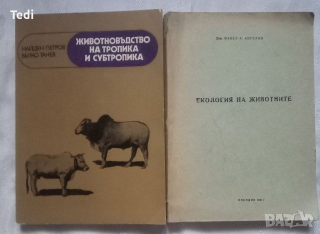 Учебници по ветеринарна медицина , снимка 7 - Специализирана литература - 40073859