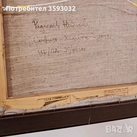ХАЛИТЕ от Радослав Нейчев , снимка 7 - Картини - 47533773