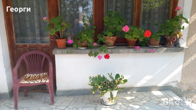 Продавам къща 94 кв.м в с. Ястребово с дворно 750кв.м., снимка 5 - Къщи - 51858475