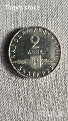 2 лева 1965 година – „1100 години славянска писменост“