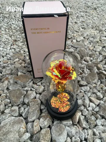 Вечна роза в стъкленица, снимка 2 - Декорация за дома - 48101468