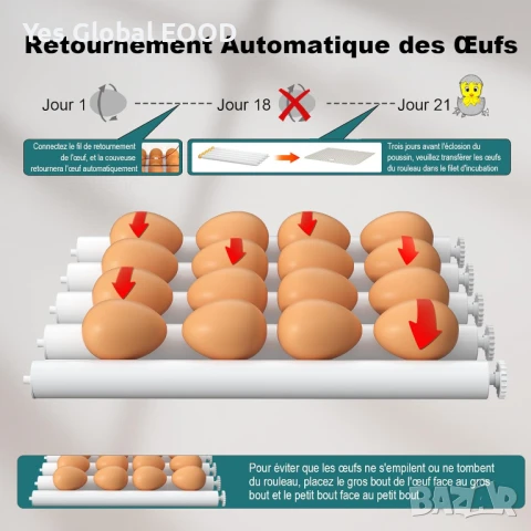 CoInceptus инкубатор 12–16 яйца – автоматично обръщане и влага, снимка 3 - Други животни - 50952199