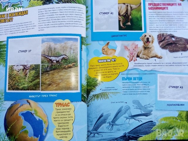 Стикер- албум "Праисторически времена" - Била - 2012г., снимка 9 - Колекции - 39309708