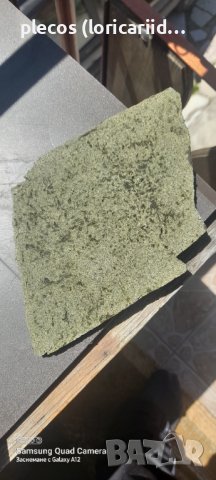 Храна за растително ядни сомове Green Algae 