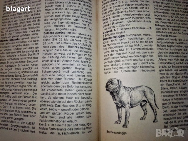 "Енциклопедия на кучето"-Германия, снимка 18 - Специализирана литература - 33458448
