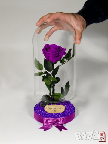 Лилава Вечна Роза в Стъкленица / Оригинален Подарък за Жена за Рожден Ден / Естествена Вечна Роза, снимка 7 - Ръчно изработени сувенири - 37067134