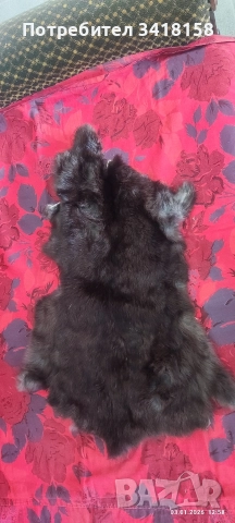 заешки кожички, снимка 5 - Други стоки за дома - 52962623