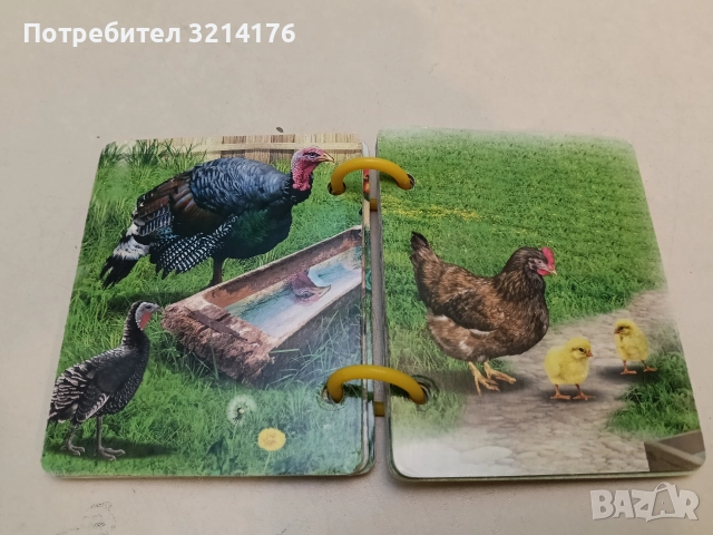 Бебетата на животните (2020, Изд.Ина, книжка с дръжка), снимка 2 - Детски книжки - 52576329