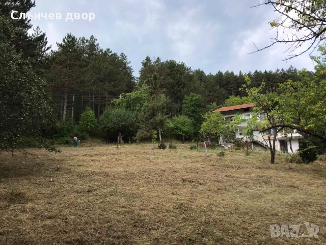 Косене на трева. Рязане на храсти и опасни дървета. Разчистване на терени., снимка 6 - Други услуги - 40197343