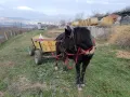 Продавам кон с каруца, снимка 1