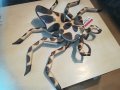 дървен паяк/рак/звяр с 6 крака 70см 1304211207, снимка 5