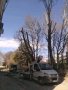 Рязане на високи и опасни дървета и почистване на дворове от треви и храсти., снимка 3