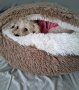Ново зимно - топло плюшено Легло * Възглавница * Къща *Хралупа * За котка * куче * Размери * Цветове, снимка 12