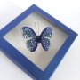 Прелестна брошка Синя пеперуда с блещукащи кристали в подаръчна кутийка, снимка 2
