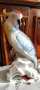 Порцеланова статуетка папагал, снимка 1 - Статуетки - 39143760