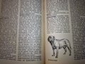 "Енциклопедия на кучето"-Германия, снимка 18