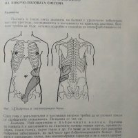 Ръководство за практически упражнения по урология. Второ издание. 1982 г., снимка 3 - Специализирана литература - 27677991