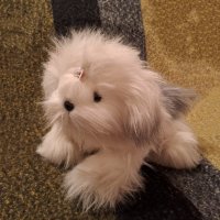 Нова играчка космато бяло кученце Подарък за Коледа за дете, снимка 3 - Плюшени играчки - 39060357