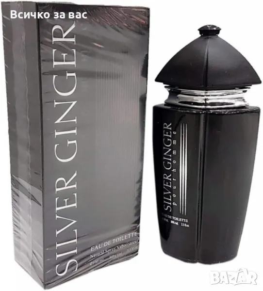 Парфюм Silver Ginger by BN, U n i s e x, Eau de toilette 100ml, снимка 1