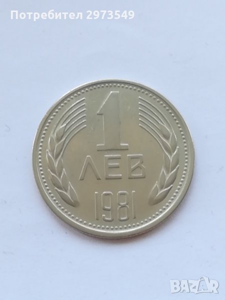 1 лев 1981 г. , снимка 1