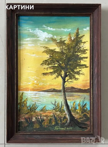 П. Петров майсторска картина, снимка 1