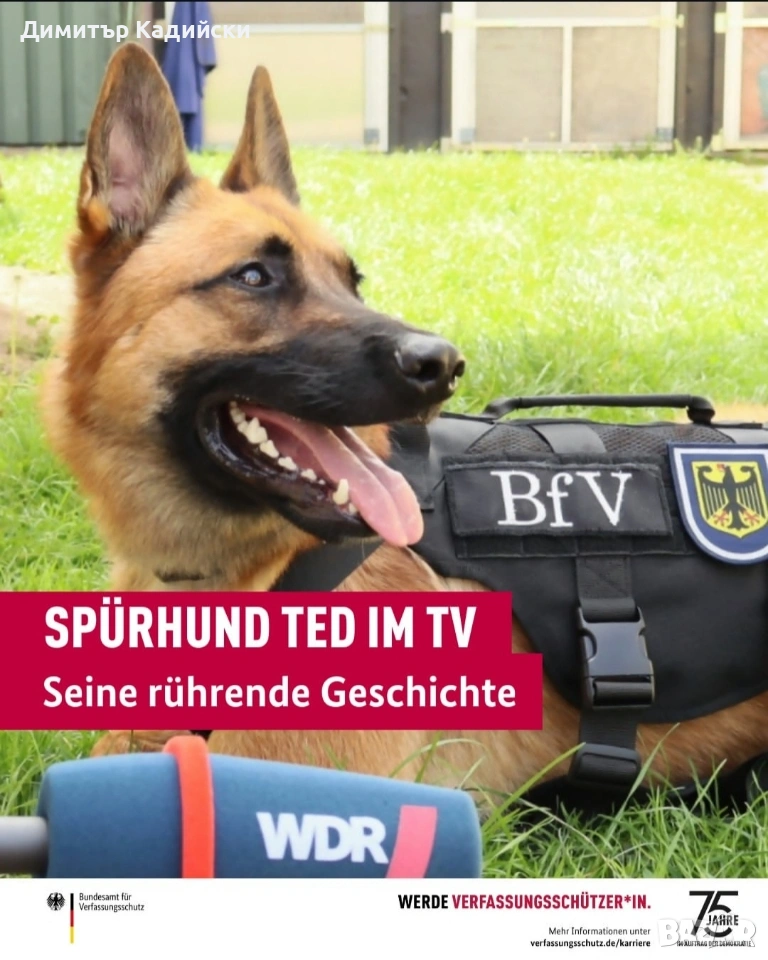 Разхождане на кучета, снимка 1