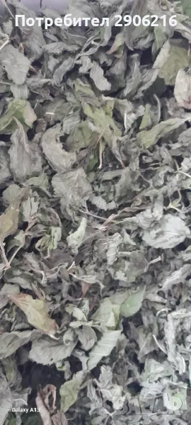 Сушен джоджен, снимка 1