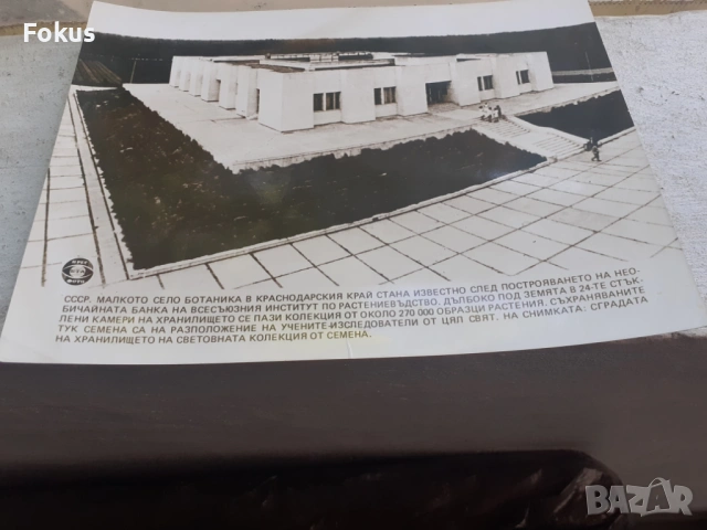 Снимка фотокопие Соц БТА ПресФото хранилище СССР, снимка 2 - Антикварни и старинни предмети - 53330460