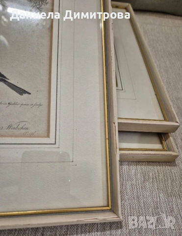 Три рамкирани принта с красиви птици, снимка 8 - Картини - 52466840