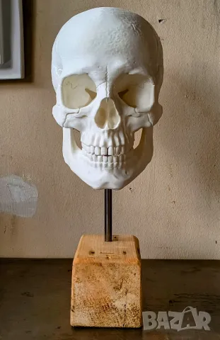 Гипсови Форми за Рисуване / Декорация / Нос / Ухо / Око / Уста, снимка 9 - Декорация за дома - 48825906