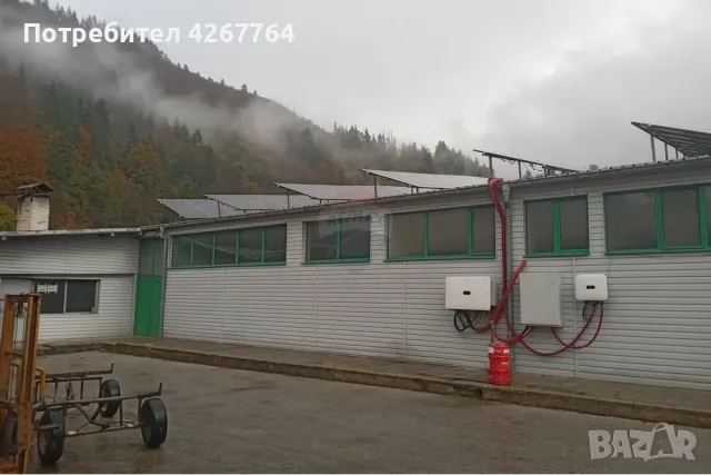 Фабрика - За продажба - с. Смилян, България, снимка 12 - Производствени сгради - 47760866