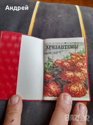 Стара паметка  Хризантеми, снимка 2 - Други ценни предмети - 40196675