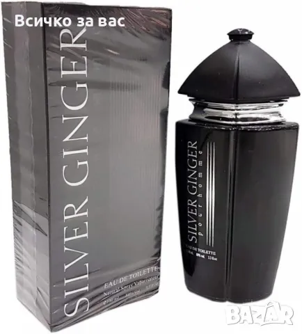 Парфюм Silver Ginger by BN, U n i s e x, Eau de toilette 100ml, снимка 1