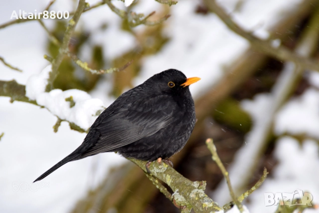 Tamron 18-200mm f3.5-6.3 XR Di II LD обектив Никон, снимка 6 - Обективи и филтри - 52517981