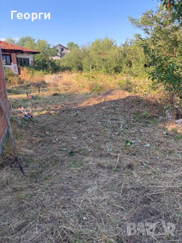 Косене на Трева и Почистване на Дворове, снимка 4 - Почистване на домове - 37740339