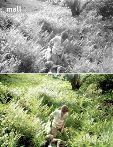 Дигитализирайте и оцветете вашите спомени!, снимка 3 - Други ценни предмети - 28448726