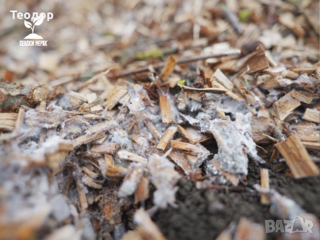 Компостиращ чипс от широколистна дървесина – за градини и овощни площи, снимка 6 - Строителни материали - 52259043