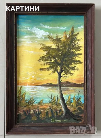 П. Петров майсторска картина