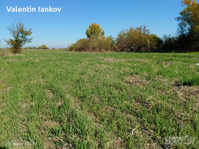 Земеделска земя трета категория в с. Конуш, снимка 8 - Земеделска земя - 52256960