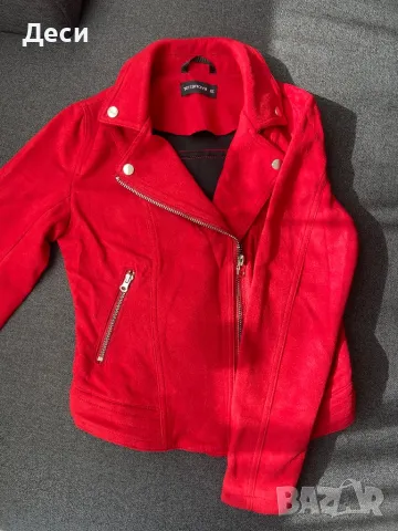 Червено яке Terranova