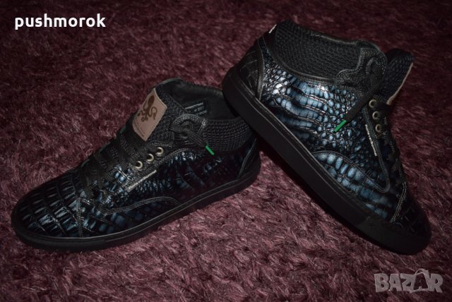 Floris van Bommel  limited edition