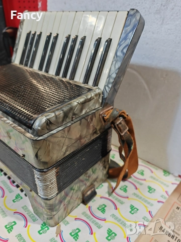 Малък акордион Hohner Student 4, снимка 7 - Акордеони - 52695917