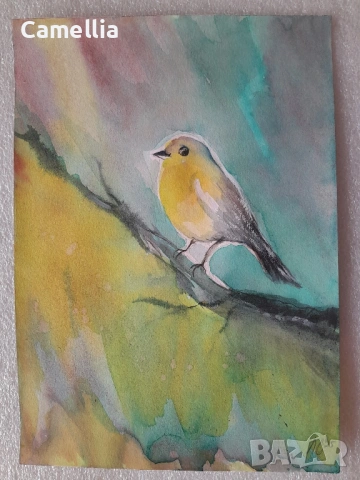 Птички - акварели, снимка 2 - Картини - 53029852